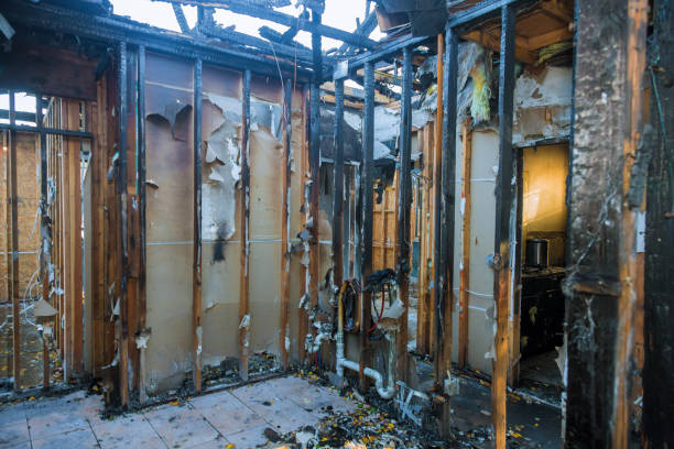 Professional Fire Damage Assessment technician working in Alma, NE